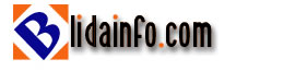 hebergement internet algerie blidainfo